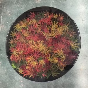 Round shape epoxy tafel